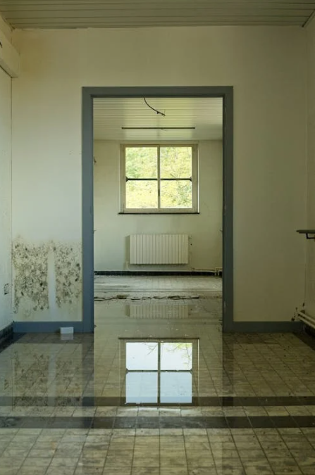water damage