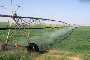 Pressurized Irrigation