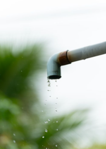 Plumbing After Vacation