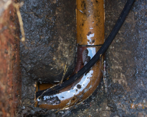 Tree Roots in sewer line