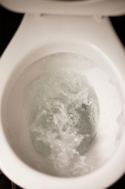 Toilet Bubble