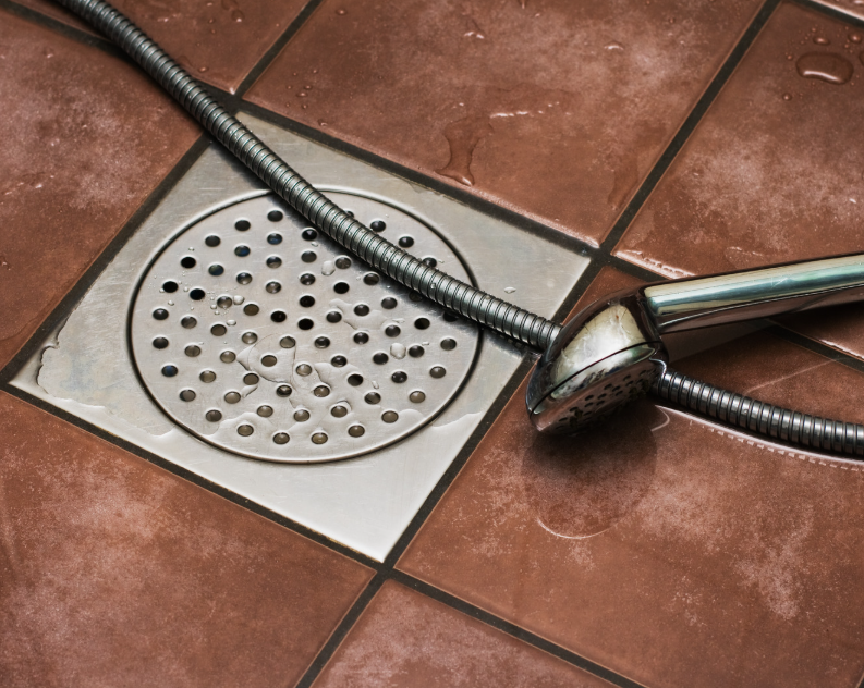 Shower Drain Smell